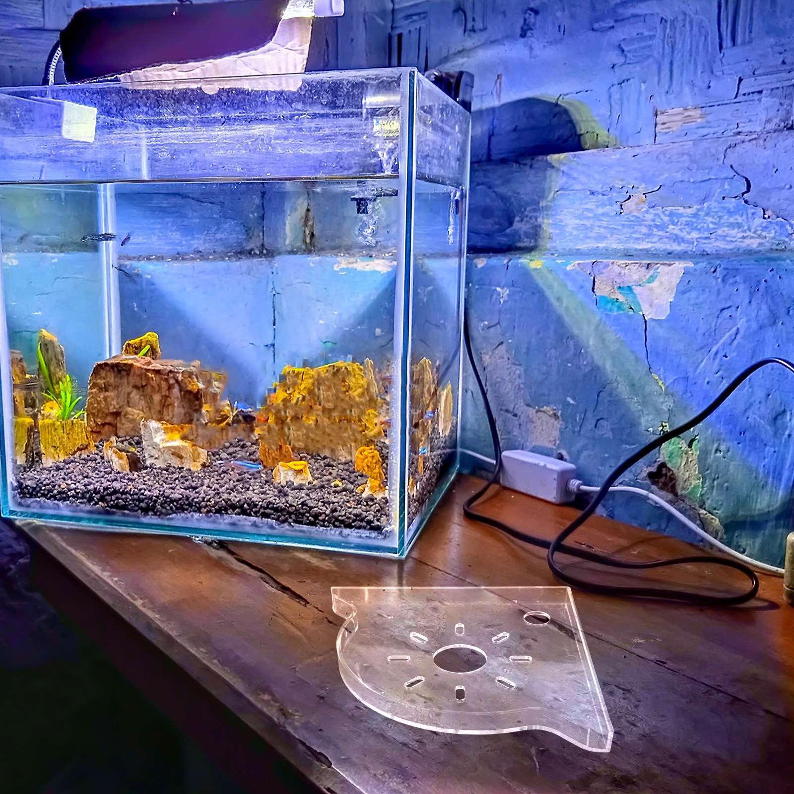 Fish Tank Corner Stand Triangl – Food Storage Plant recenzja i cena