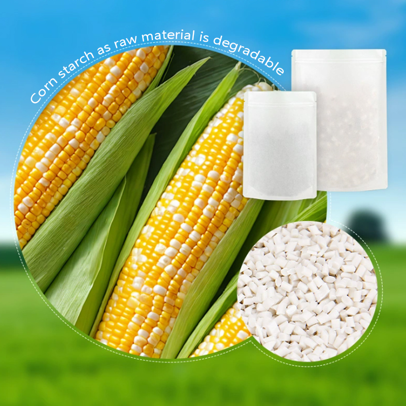 Customized Degradable Kraft Pa – Food Storage Plant recenzja i cena
